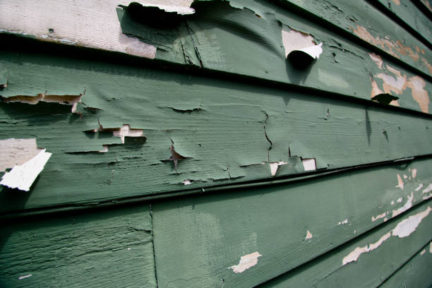Best Composite Siding  in Cedar Ridge, CA